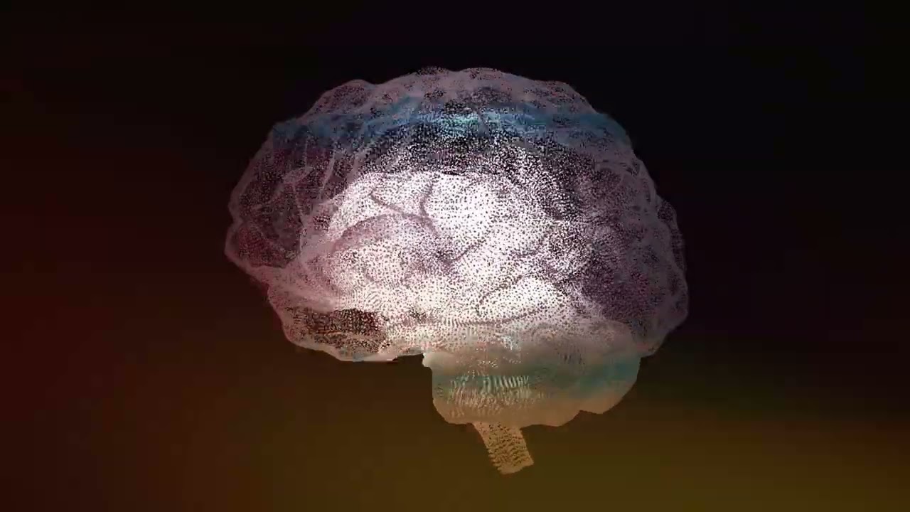 An illustration of a brain